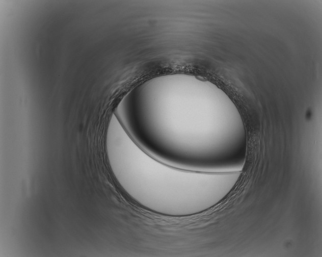 X0000098040039200803280804