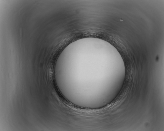 X0000098040040200803280804