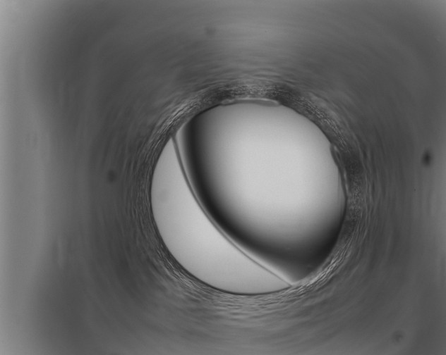 X0000098040045200803280804