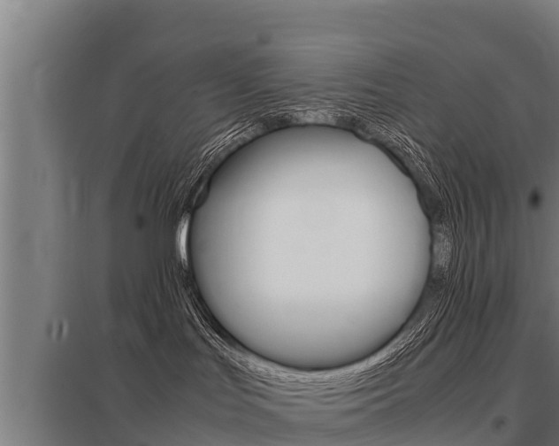 X0000098040047200803280804