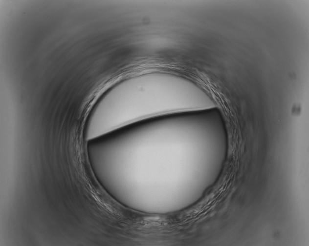 X0000098040050200803280803
