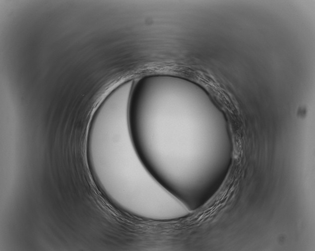 X0000098040052200803280803