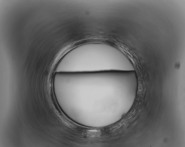 X0000098040053200803280803