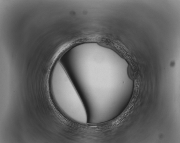 X0000098040054200803280803