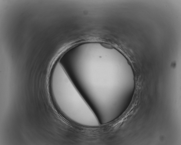 X0000098040055200803280803