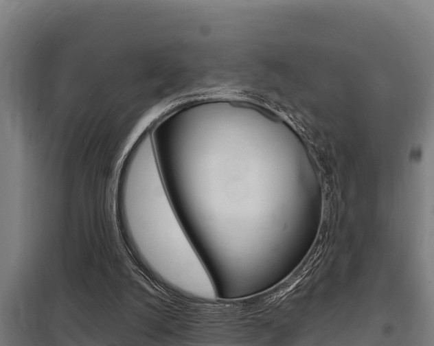 X0000098040056200803280803