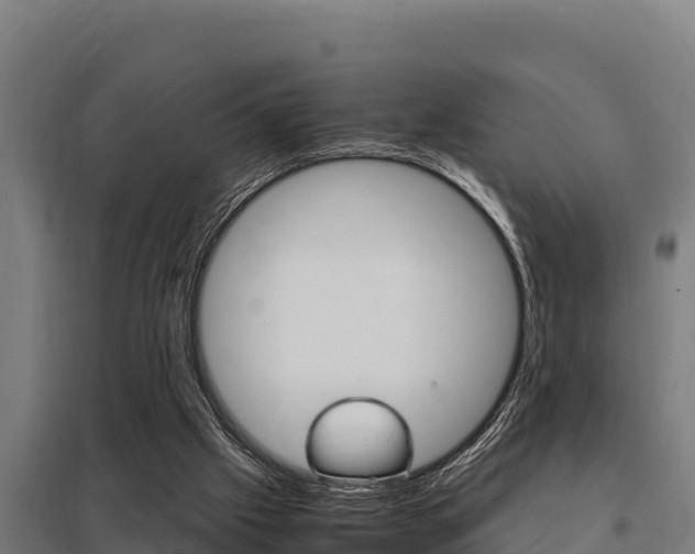 X0000098040057200803280803