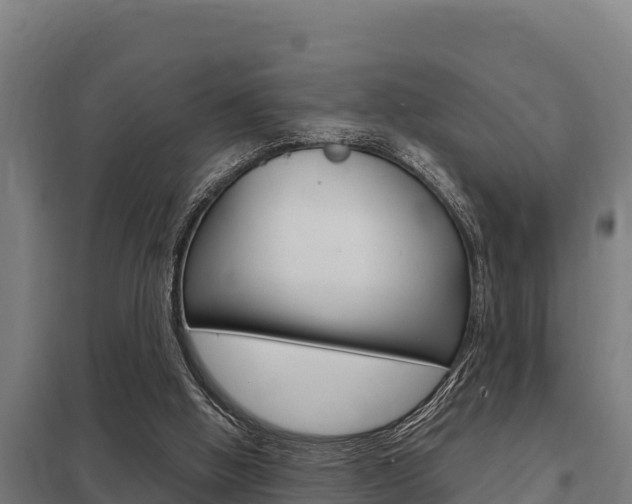 X0000098040058200803280803