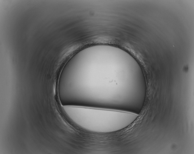 X0000098040062200803280803