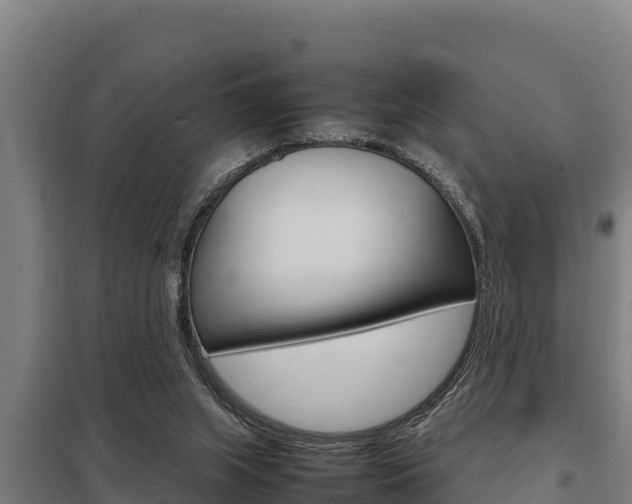X0000098040063200803280803
