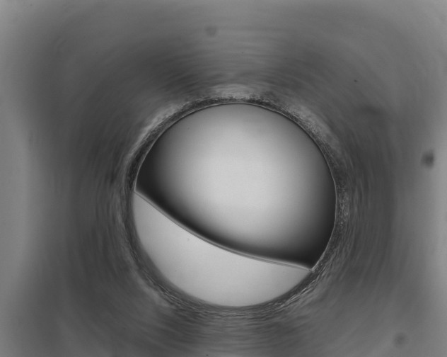 X0000098040064200803280803