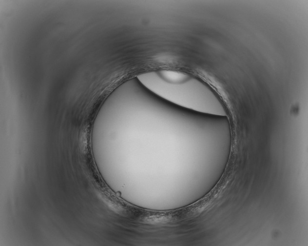 X0000098040065200803280803