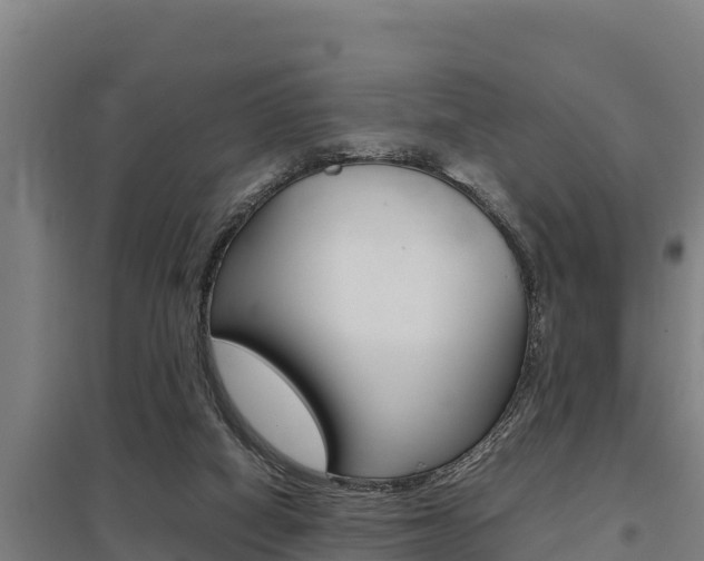 X0000098040066200803280803
