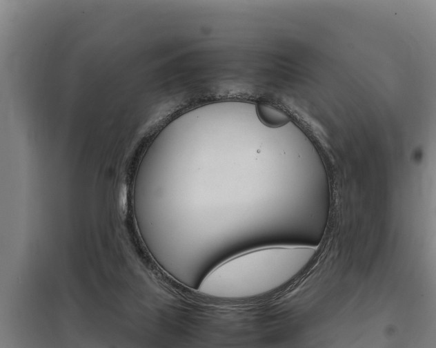 X0000098040067200803280803