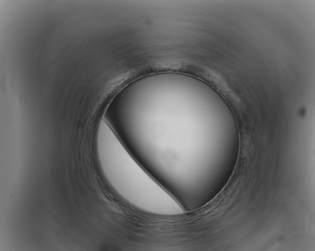 X0000098040068200803280803