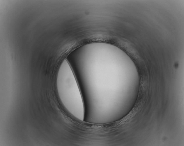 X0000098040070200803280803