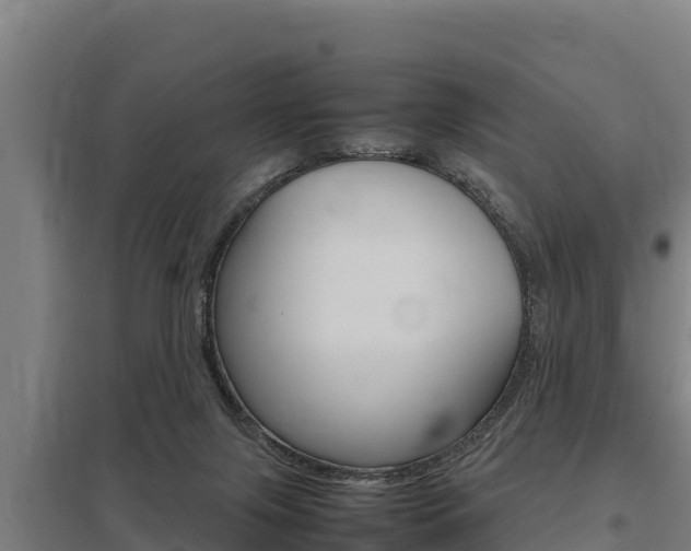 X0000098040071200803280803