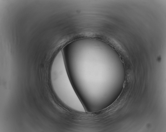 X0000098040072200803280803