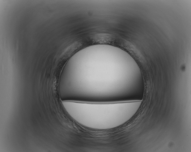 X0000098040073200803280803