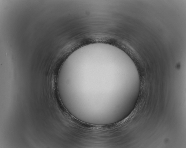 X0000098040074200803280803