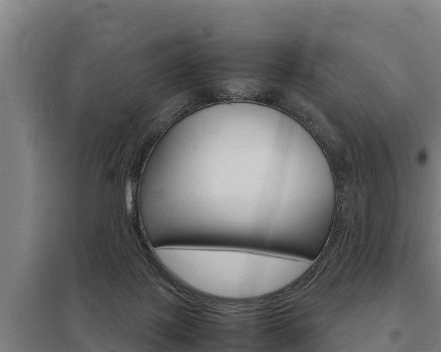 X0000098040075200803280803