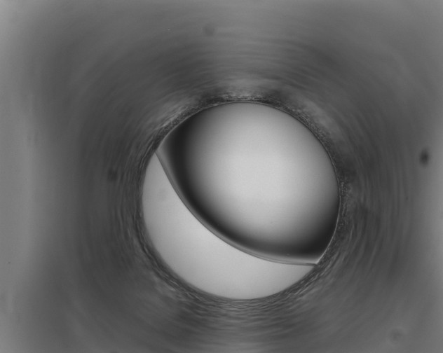 X0000098040076200803280804