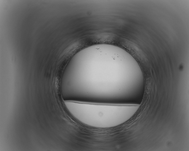 X0000098040077200803280804