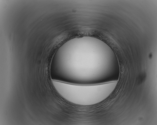 X0000098040080200803280804