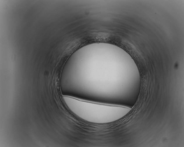 X0000098040083200803280804