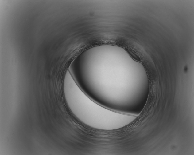 X0000098040084200803280804