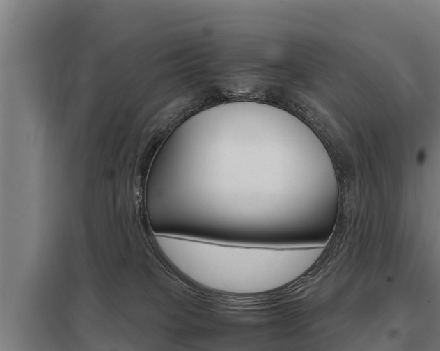 X0000098040085200803280804