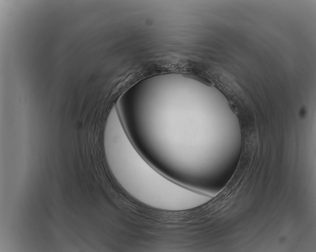 X0000098040088200803280804
