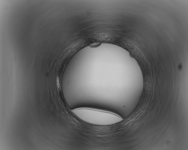 X0000098040089200803280804