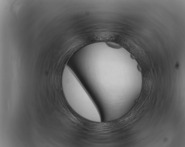 X0000098040091200803280804