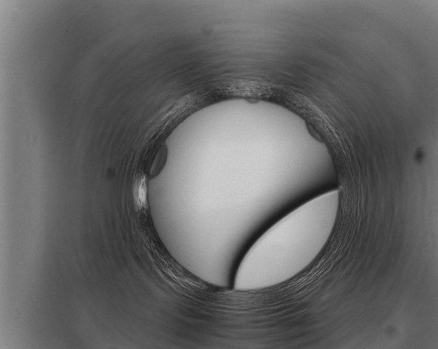 X0000098040095200803280804