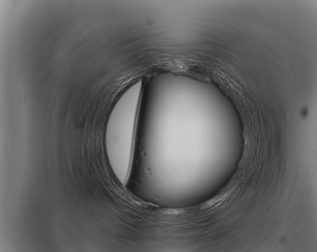 X0000098040096200803280804