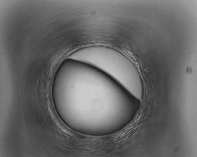 X0000098040097200803280803