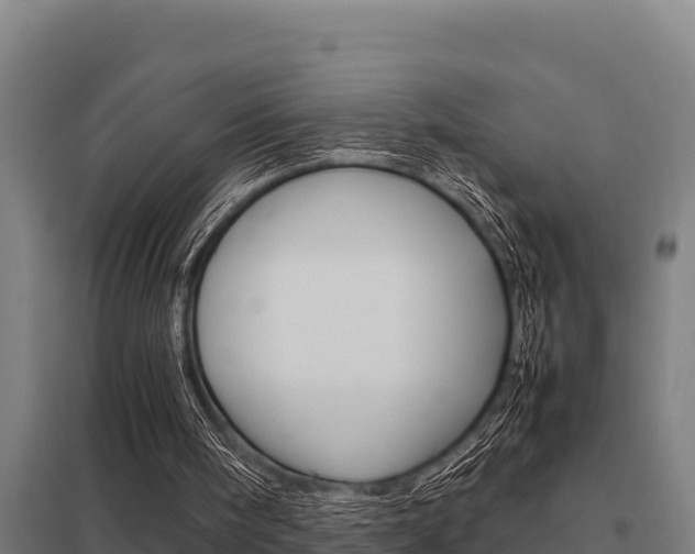 X0000098040098200803280803