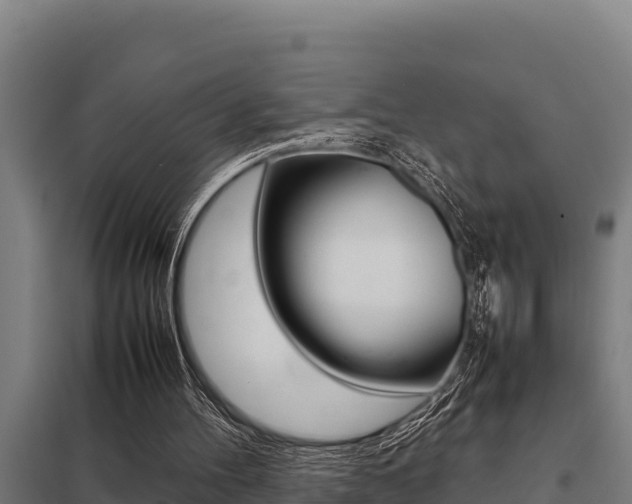 X0000098040100200803280803