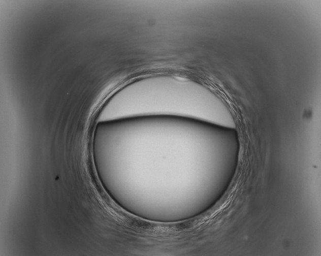 X0000098040101200803280803