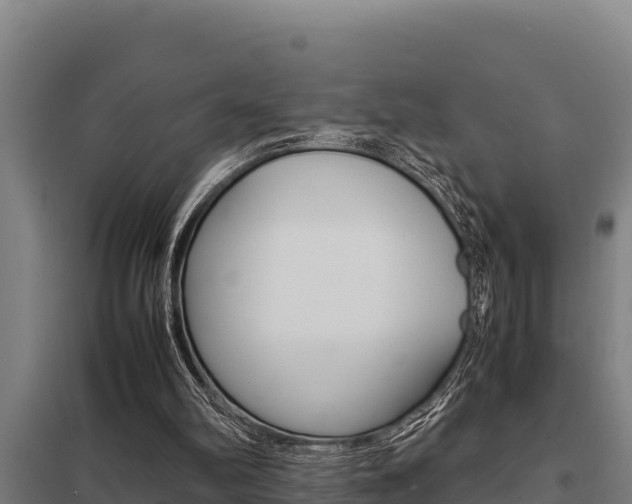 X0000098040102200803280803