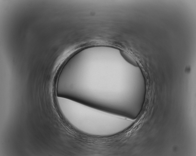 X0000098040103200803280803