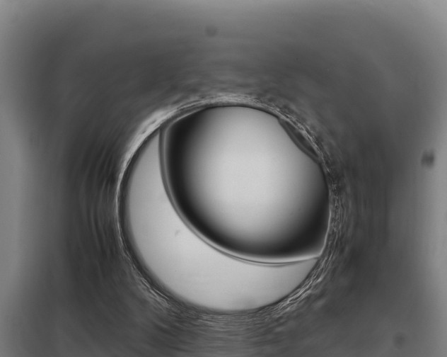 X0000098040104200803280803