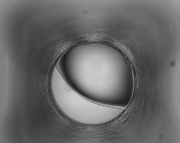 X0000098040105200803280803