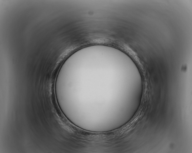 X0000098040106200803280803