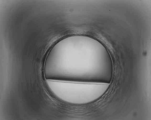 X0000098040107200803280803