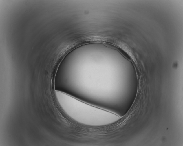 X0000098040109200803280803