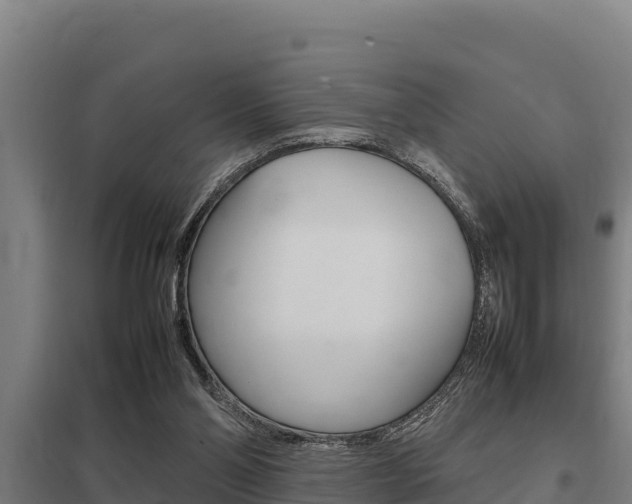 X0000098040110200803280803