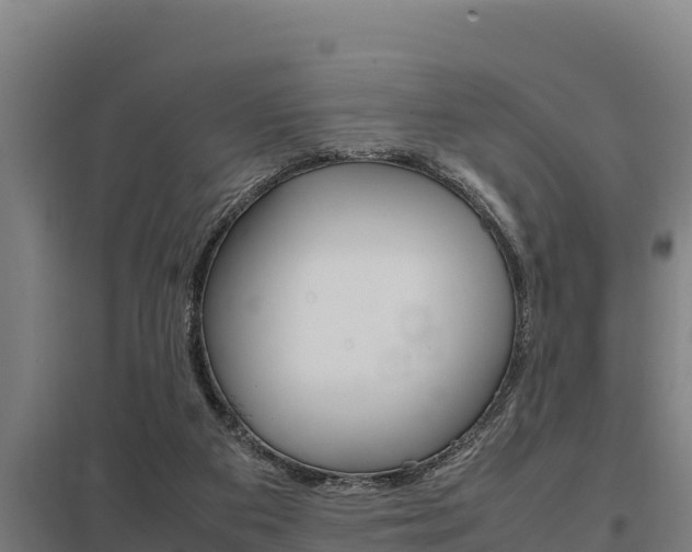 X0000098040113200803280803