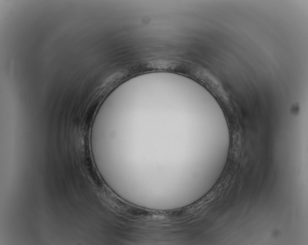 X0000098040114200803280803
